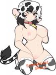  andogg animal_humanoid bovine breasts collar cow_humanoid female humanoid kneeling lactating looking_at_viewer mammal navel nipples nude pussy solo thick_thighs 