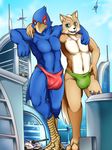  arwing avian bird bulge canine city clothing corneria falco_lombardi fox fox_mccloud landmaster macro male mammal nabesiki nintendo speedo star_fox swimsuit video_games 