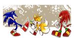  2017 aogirinaru canine clothing echidna fox fur gloves hedgehog knuckles_the_echidna male mammal miles_prower monotreme sonic_(series) sonic_the_hedgehog video_games 