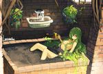  artist_name breasts brick_wall brown_eyes commentary_request dirt fountain green_hair hair_censor hair_over_one_eye lansane long_hair monster_girl original plant plant_girl plant_hair planter sidelocks signature sitting small_breasts smile solo topless vines watering_can window 