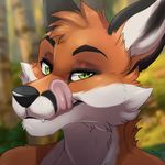  2017 anthro biped black_fur black_markings black_nose blurred_background bust_portrait canine cheek_tuft depth_of_field digital_media_(artwork) eyebrows facial_markings fox front_view fur green_eyes head_tuft icon licking licking_lips looking_at_viewer low_res male mammal markings multicolored_fur orange_fur pink_tongue portrait signature snout solo tartii tongue tongue_out tuft white_fur 