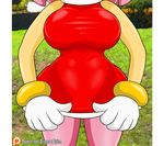  2017 amy_rose animated bigdon1992 clothing digital_media_(artwork) female flashing mammal nyuroraxbigdon panties patreon simple_background solo sonic_(series) underwear 