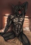  canine clothing dog latex_(artist) male mammal rubber suit 