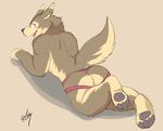  anthro butt canine clothing colored ginnosuke hi_res jockstrap looking_at_viewer male mammal muscular presenting presenting_hindquarters simple_background solo underwear 