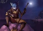 anthro canine clothed clothing diadorin female fur looking_at_viewer mammal night_sky outside sitting smile solo 