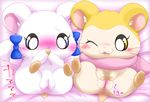 anus bed bijou blue_eyes blush duo eyelashes female feral fur hamster hamtaro_(series) lying mammal on_back one_eye_closed open_mouth pashmina pussy ribbons rodent scarf spread_pussy spreading suvaru text white_fur wink yellow_eyes 