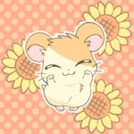  ambiguous_gender animated caramelldansen dancing feral flower fur hamster hamtaro hamtaro_(series) mammal orange_fur plant rodent simple_background solo sunflower tan_fur unknown_artist 