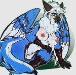  2017 anthro avante92 avian beak bird blue_jay blush breasts corvid crossgender feathered_wings feathers female fur green_eyes gryphon multicolored_fur nipples nude open_mouth pussy rane solo wings 