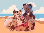 accessory anthro beach bear bottomwear brown_body brown_fur canid canine cheek_tuft chest_tuft clothing dessert duo eyewear eyewear_on_head facial_tuft fangs felid flower flower_in_hair fluffy fluffy_tail food fur grass_skirt hair hair_accessory heart_(marking) hi_res hibiscus hybrid ice_cream jewelry lei male male/male mammal markings necklace pantherine plant popsicle raccoon_dog sharktooth_necklace skirt slightlycoldtea stripes sunglasses sunglasses_on_head swimming_trunks swimwear tail tan_body tan_fur tanuki teeth tiger tuft