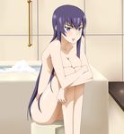 bath bathroom blue_eyes blue_hair breasts busujima_saeko highschool_of_the_dead large_breasts leg_hug long_hair no_pussy nude ribonzu solo 