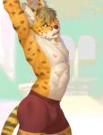 2025 anthro areola bulge clothed clothing felid feline fur green_eyes hair hi_res male mammal markings multicolored_body multicolored_fur nipples red8ean serval solo spots spotted_body spotted_fur tail two_tone_body two_tone_fur underwear underwear_only