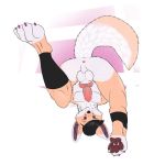  anthro anus balls canine fennec fox girly hi_res invalid_tag knot male mammal paws penis radley_blackburn simple_background superchuits_(artist) white_background 