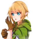  ailejne blonde_hair blue_eyes braid enjelicious gloves hood linkle looking_at_viewer pointy_ears solo the_legend_of_zelda twin_braids zelda_musou 