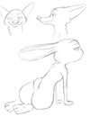  2017 akiric anthro black_and_white butt canine disney duo female fox judy_hopps kneeling lagomorph male mammal monochrome nick_wilde nude rabbit rear_view simple_background sketch_page smile white_background zootopia 