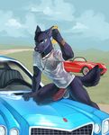  anthro balls bottomless canine car clothed clothing demicoeur erection humanoid_penis looking_at_viewer male mammal nipples penis shirt smile solo vehicle wet_shirt 