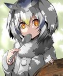  buttons coat commentary_request feathers fur_collar head_wings kemono_friends long_sleeves looking_at_viewer northern_white-faced_owl_(kemono_friends) orange_eyes plate solo spoon spoon_in_mouth tsukasawa_takamatsu underwear white_hair 