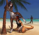 2017 beach blush bottomless breasts brown_hair clothed clothed_sex clothing cunnilingus detailed_background ear_piercing female female/female hair kangaroo licking lips mammal marsupial nipples oral partially_clothed piercing public pussy red_hair seaside sex swimsuit tongue tongue_out totesfleisch8 vaginal 