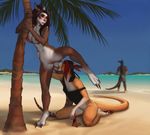  beach breasts chris claws clothing dagmar female female/female kangaroo licking mammal marsupial palm_tree pussy sand sea seaside summer swimsuit taira tf8 tongue tongue_out totesfleisch8 tree water 