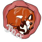  badge canine cute digital_media_(artwork) feral fox gender:male male mammal saliva smile solo vore 