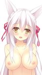  absurdres animal_ears bad_id bad_pixiv_id bangs blush breasts cleavage collarbone eyebrows_visible_through_hair eyes_visible_through_hair fox_ears hair_between_eyes hair_ribbon haku_(irotoridori_no_sekai) head_tilt highres irotoridori_no_sekai japanese_clothes kimono large_breasts long_hair looking_at_viewer minatsuki_kou nipples nude off_shoulder open_clothes open_kimono open_mouth red_ribbon ribbon shiny shiny_skin sidelocks simple_background smile solo upper_body white_background white_hair white_kimono yellow_eyes 