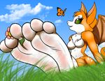  2016 3_toes arthropod breasts butterfly cloud dust:_an_elysian_tail feet female fidget flower foot_fetish foot_focus grass insect low-angle_view mammal nimbat nintendo open_mouth outside plant sky soles toes tuft video_games wings worm&#039;s-eye_view wrinkles zp92 