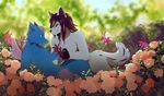  akitamonster anthro blue_eyes blue_fur canine day detailed_background duo female flower fur hair lying male mammal nude outside pink_hair pink_nose plant purple_eyes purple_hair purple_nose smile white_fur 