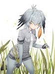  black_hair gloves grass grey_hair head_wings highres kemono_friends long_hair multicolored_hair necktie ronopu shoebill_(kemono_friends) silver_hair solo tail yellow_eyes 