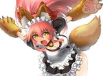 alternate_costume animal_ears apron bell bell_collar breasts cleavage collar enmaided fangs fate/grand_order fate_(series) fox_ears fox_tail hair_ribbon highres large_breasts long_hair looking_at_viewer maid maid_apron maid_headdress makishima_azusa open_mouth paws pink_hair ribbon simple_background solo tail tamamo_(fate)_(all) tamamo_cat_(fate) white_background yellow_eyes 