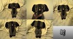  butt invalid_tag kingfurryjion meme nintendo plushie real switch_dog video_games 