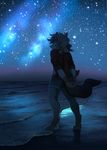  akitamonster anthro barefoot beach black_nose canine clothed clothing detailed_background digitigrade female fur grey_fur grey_hair hair mammal night outside sand seaside sky smile standing star starry_sky water wolf 