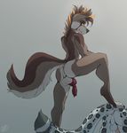  2017 animal_genitalia animal_penis anthro balls butt canine canine_penis duo hair knot male male/male mammal nude penis simple_background standing unknown_artist 