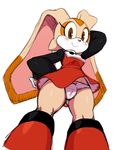  1girl animal_ears bare_legs breasts bunny cosplay cream cream_the_rabbit curvy eric_lowery female furry looking_at_viewer no_humans older panties pantyshot rockman roll_caskett shiny_skin sonic_the_hedgehog tail white_background 