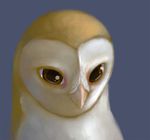  ambiguous_form ambiguous_gender avian barn_owl beak bird brown_eyes digital_drawing_(artwork) digital_media_(artwork) dilated_pupils feather_tuft feathers headshot_portrait icon multicolored_feathers nose_tuft nyar owl portrait purple_background simple_background solo tuft two_tone_feathers white_feathers yellow_feathers 