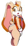  1girl animal_ears ass bare_legs breasts bunny cream cream_the_rabbit curvy eric_lowery female furry huge_ass looking_back no_humans older panties shiny_skin sonic_the_hedgehog standing tail white_background 