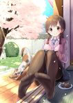  :d animal bangs blue_sky blush braid breasts brown_eyes brown_hair brown_legwear bush buttons cardigan_vest cat cherry_blossoms collared_shirt dappled_sunlight day dress_shirt eyebrows_visible_through_hair feet food full_body game_console grass grin hair_ornament hair_tie hairclip handheld_game_console holding knees_up light_rays long_sleeves looking_at_viewer medium_breasts mozu_(peth) necktie no_shoes open_mouth original pantyhose petals pink_sweater plaid plaid_neckwear plaid_skirt plate playing_games playstation_vita porch school_uniform shirt sitting skirt sky sliding_doors smile solo stretch sunbeam sunlight sweater sweater_vest tatami toes tree twin_braids veranda waking_up white_shirt wing_collar yawning 