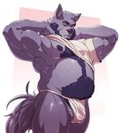  anthro balls canine catsudon clothing looking_at_viewer male mammal musclegut nipples pubes solo standing sweat underwear 