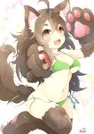  1girl :d ahoge animal_ears blush breasts brown_eyes brown_hair chita_(ketchup) cleavage fang hair_between_eyes long_hair medium_breasts navel open_mouth original paw_pose paws sidelocks signature simple_background smile solo swimsuit swimwear tail underboob 