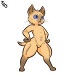  ambiguous_gender blue_eyes brown_fur capcom cat feline felyne fur hands_on_hips immortalstar mammal monster_hunter open_mouth semi-anthro simple_background smile solo video_games white_background 