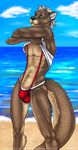  2016 anthro athletic beach black_nose blue_sky brown_fur bulge clothed clothing clothing_lift cloud day detailed_background digital_media_(artwork) eyebrows front_view fur green_eyes hair hi_res looking_at_viewer male mammal mustelid navel otter outside pecs pocketcookie sand sea seaside shirt shirt_lift sky solo standing swimsuit twitch7 water white_hair 