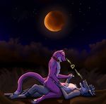  bleiz canine cat couple_(disambiguation) feline fur heliphass hi_res love male male/male mammal moon nature night purple_fur ray ray-bleiz sex tifenius wolf 