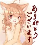  artist_request brown_eyes brown_hair dog flat_chested furry open_mouth smile 