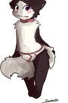  2017 anthro blush briefs canine clothing collar dog fur humanoid_penis male mammal open_mouth penis simple_background teeth underwear zackary911 