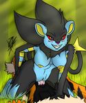  anthro arcanine invalid_tag luxray nintendo penetration pok&eacute;mon pornography pussy sex video_games 