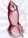 2017 animal_genitalia anonymous_artist disembodied_penis erection fur grey_fur hi_res knot male penis pink_penis simple_background traditional_media_(artwork) vein veiny_penis white_background 