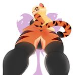  anthro breasts clothing colored_sketch feline female fur hair higgyy legwear looking_back low-angle_view mammal panties smile solo standing thigh_highs tiger underwear worm&#039;s-eye_view 