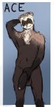  ace_(harpuia) anthro big_penis brown_hair dreamy_pride erection ferret fur hair humanoid_penis looking_at_viewer male mammal mustelid nude penis presenting shy simple_background smile 