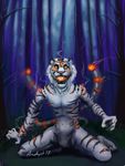  amethystlongcat feline fire hybrid liger lion magic male mammal night nude open_mouth outside stripes teeth tiger tree wood 