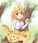  animal_ears animal_print bare_shoulders blonde_hair blush bow bowtie breasts elbow_gloves extra_ears faubynet gloves highres in_tree kemono_friends looking_at_viewer medium_breasts open_mouth revision serval_(kemono_friends) serval_ears serval_print serval_tail shirt short_hair sitting sitting_in_tree skirt sleeveless sleeveless_shirt solo tail thighhighs tree white_shirt yellow_eyes 