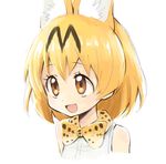  :d animal_ears animal_print bow bowtie brown_eyes dot_nose eyebrows_visible_through_hair eyelashes hair_between_eyes highres inumoto jpeg_artifacts kemono_friends looking_away open_mouth orange_hair portrait print_bow print_neckwear sanpaku serval_(kemono_friends) serval_ears serval_print shirt short_hair simple_background sleeveless sleeveless_shirt smile solo tareme white_background white_shirt 