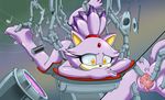  blaze_the_cat female kandlin pussy solo sonic_(series) tagme 